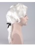 White Colonial Wig